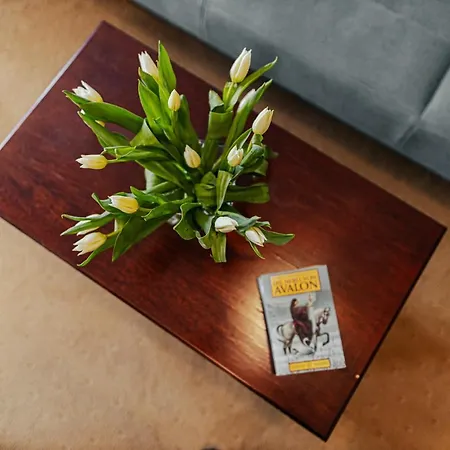 فندق مبيت وإفطار Panorama_spa 3*